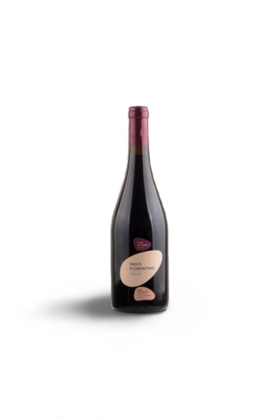 Pago Florentino 2021
