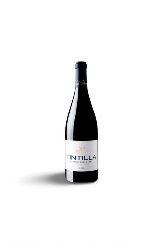 Tintilla Balbaina 2022