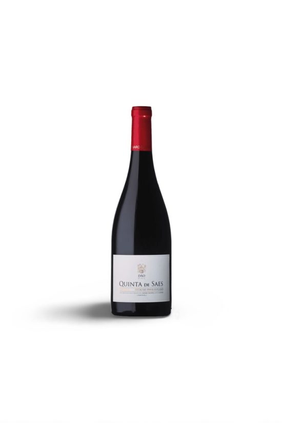 Quinta Saes Estagio prolongado 2016