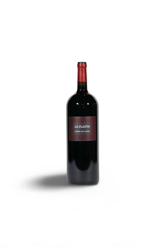 La Planta 2023 Magnum