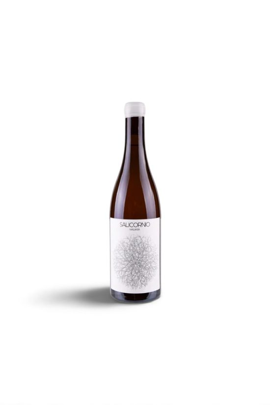 Salicornio Merdeguera 2022