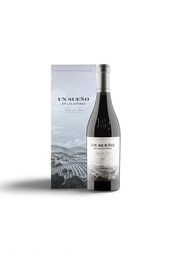 UN SUEÑO EN LAS ALTURAS 2021 P Capellanes