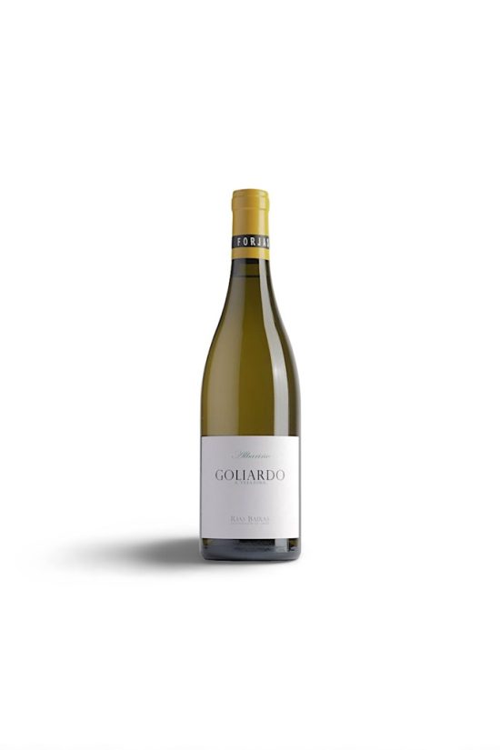 Goliardo a Telleira 2021