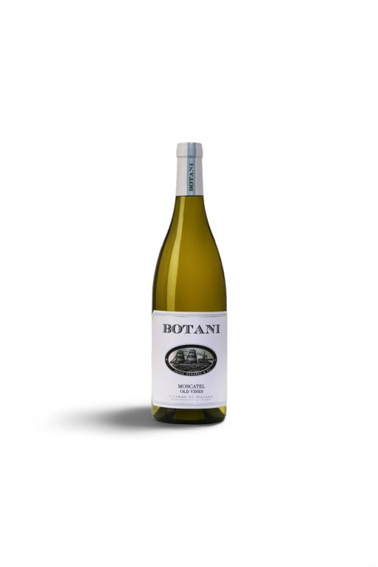 Botani 2023 (moscatel)