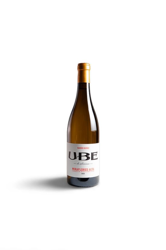 UBE Caserio de Miraflores Alta 2024