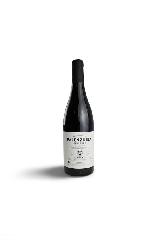 Palenzuela Quintero 2021