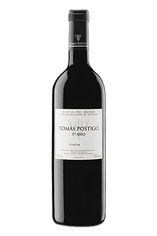 TOMAS POSTIGO 5º AÑO 2021